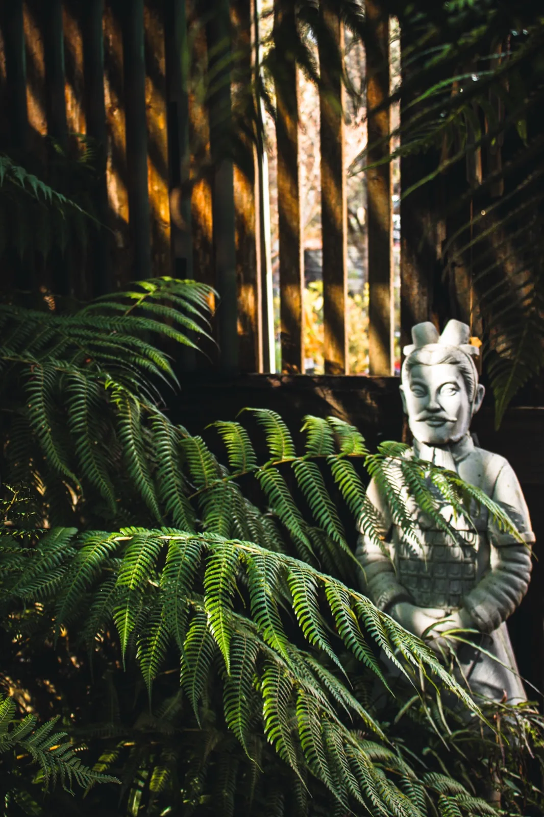Tree ferns in green shade on the Bridges grounds, a stone figure among them.